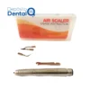 Escareador Neumático Air Scaler Sandent