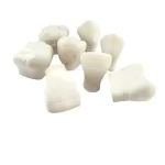 Macro Modelos de Yeso 9 piezas