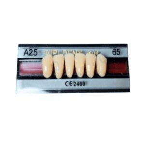 Dientes de Acrílico