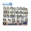 Kit de 31 Grapas Discover