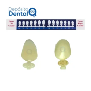 Coronas temporales Policarbonato Caninos Rite-Dent