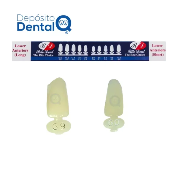 Coronas temporales Policarbonato Incisivos Anteriores Rite-Dent