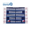 Kit de Coronas temporales Policarbonato Rite-Dent