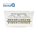 Brackets Edgewise Econom Line