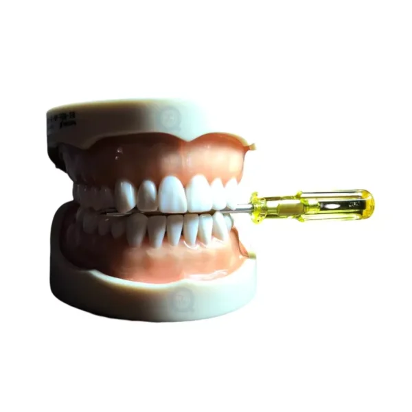 Tipodonto Nissin adulto 28 dientes